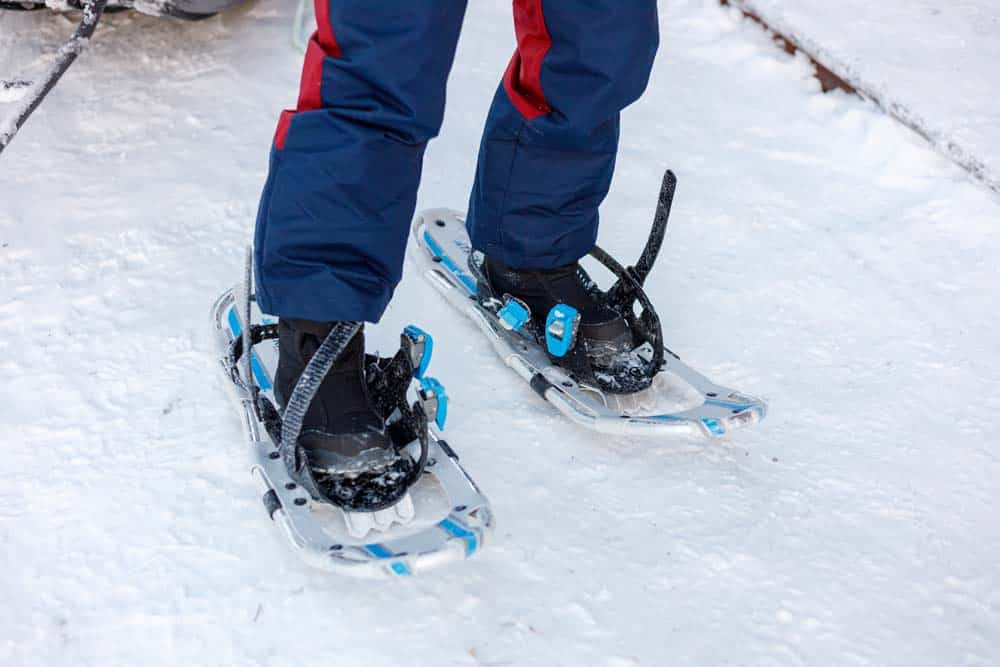 Raquetas Nieve Olivillas